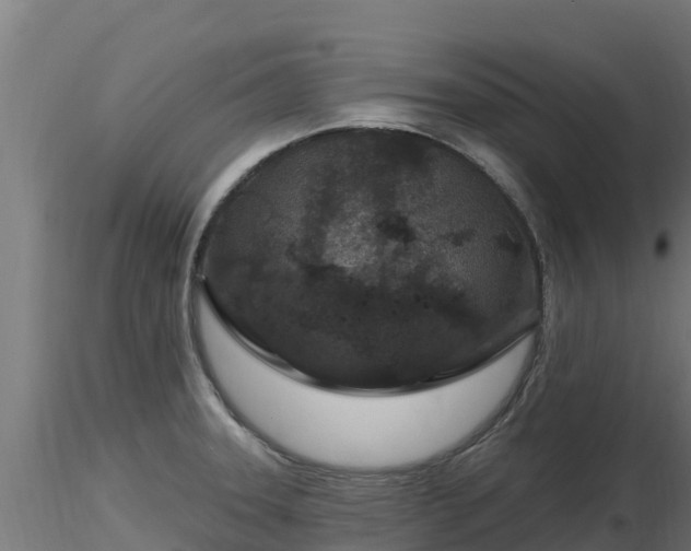 X0000116891331200912291255