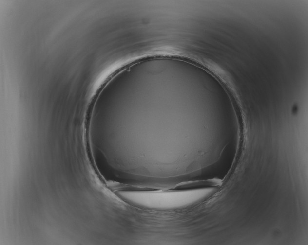 X0000116891334200912291255