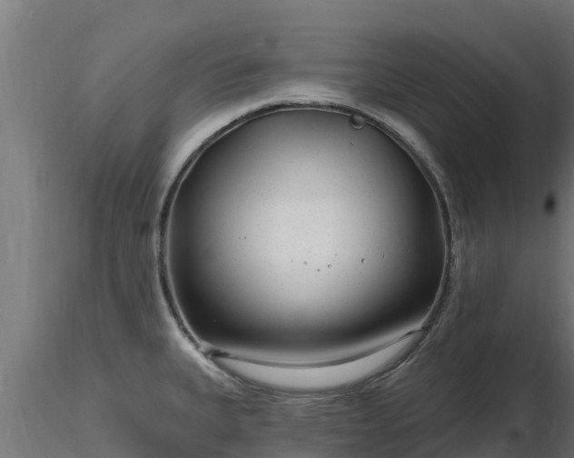 X0000116891335200912291255