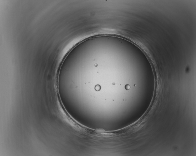 X0000116891342200912291255