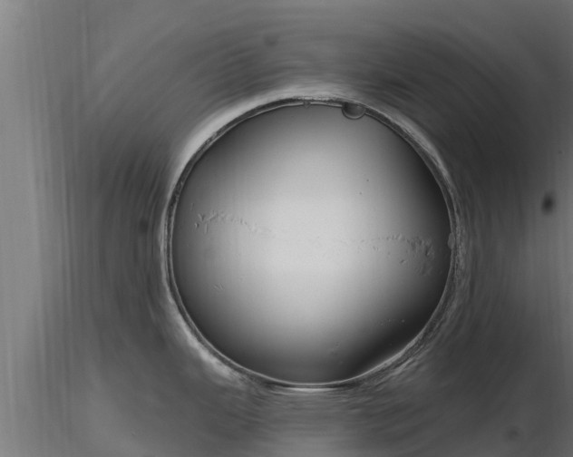 X0000116891343200912291255