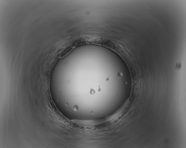 X0000116891345200912291254