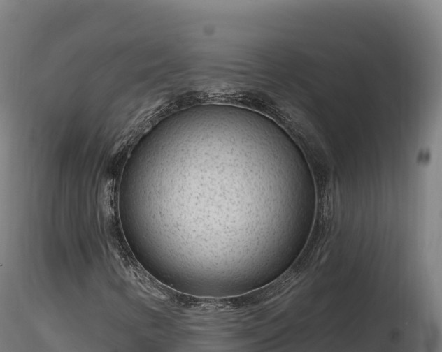 X0000116891346200912291254