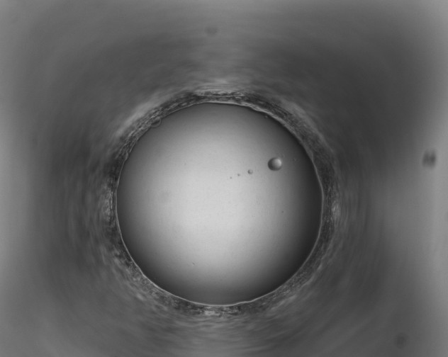 X0000116891350200912291254