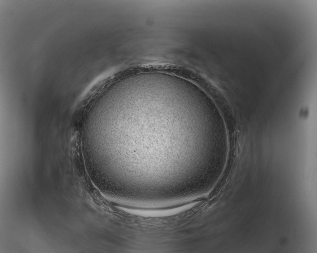 X0000116891351200912291254