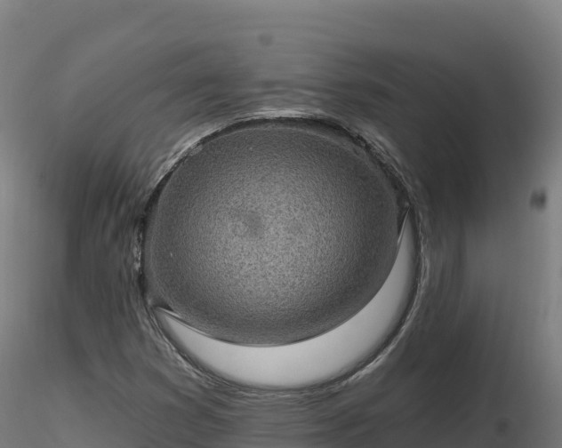 X0000116891353200912291254