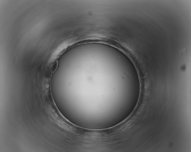 X0000116891355200912291254