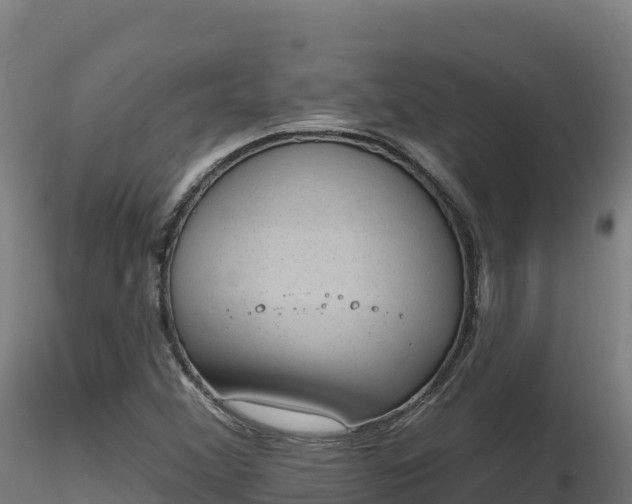 X0000116891356200912291254
