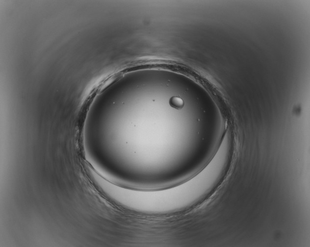 X0000116891357200912291254