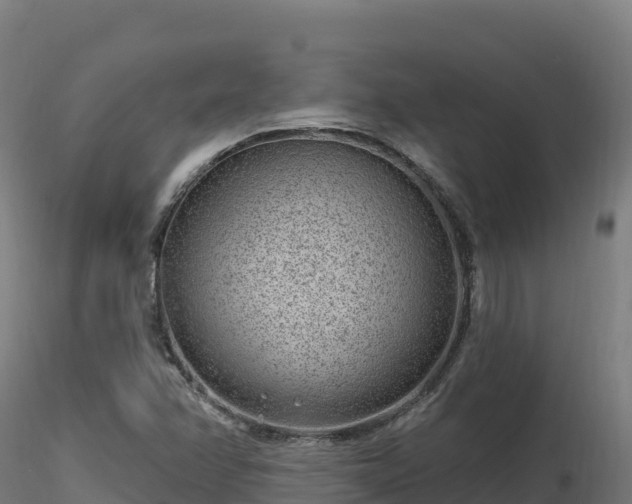 X0000116891358200912291254