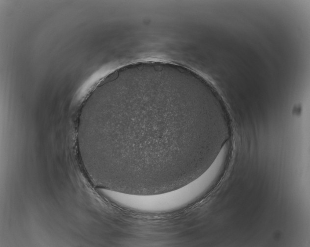 X0000116891359200912291254