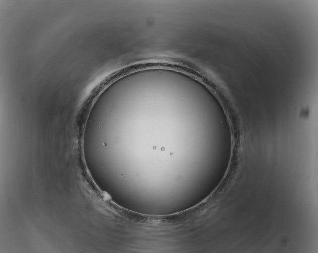 X0000116891360200912291254
