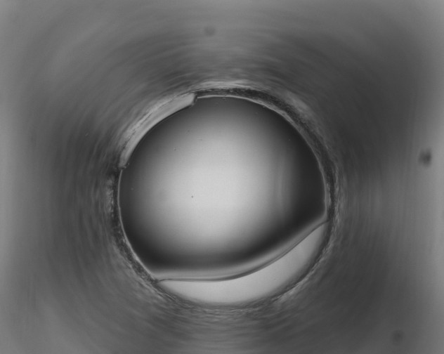X0000116891361200912291254