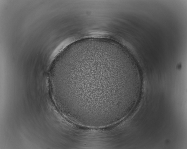 X0000116891362200912291254