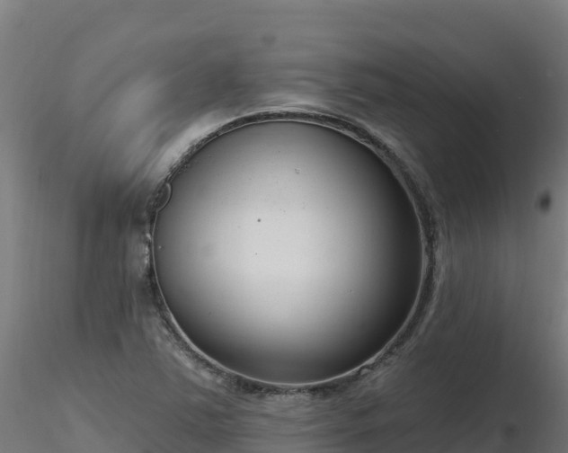 X0000116891363200912291254