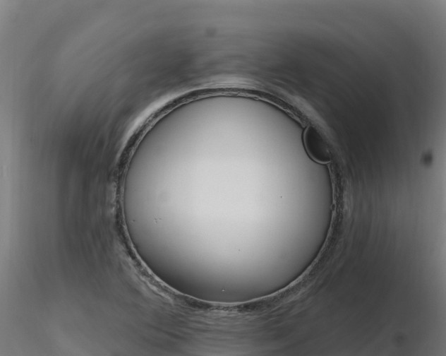 X0000116891364200912291254