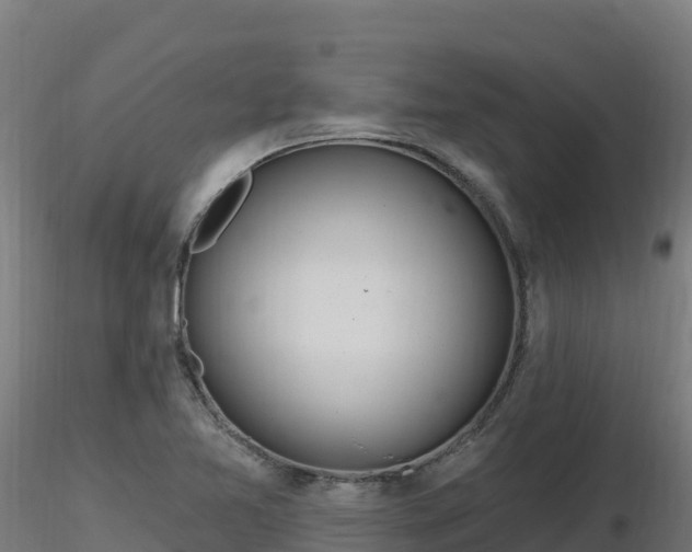 X0000116891365200912291254