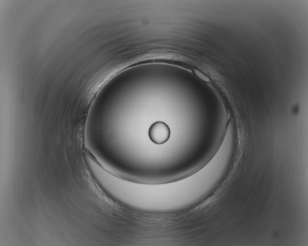 X0000116891369200912291254