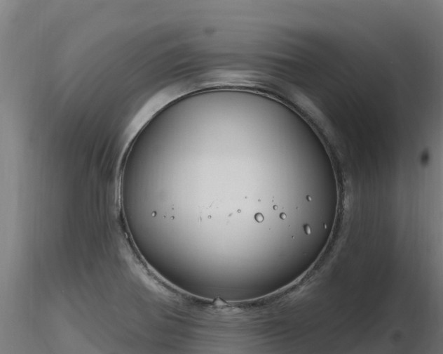 X0000116891370200912291254