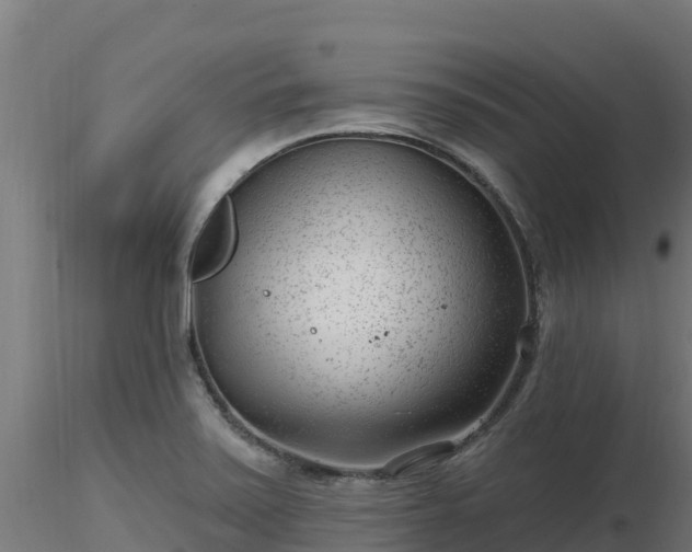 X0000116891371200912291254