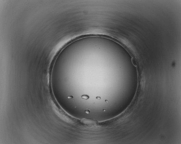 X0000116891372200912291254
