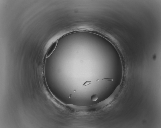 X0000116891373200912291254