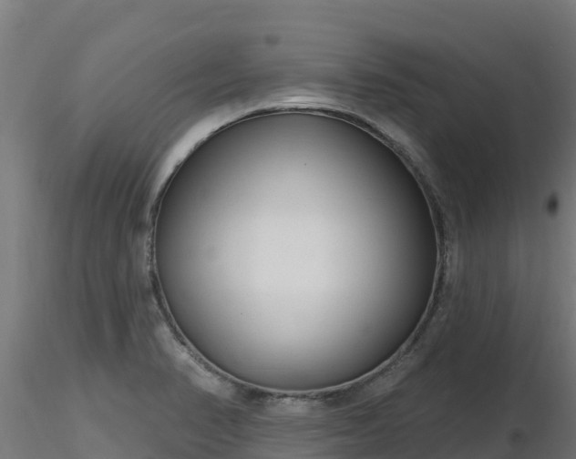 X0000116891374200912291254