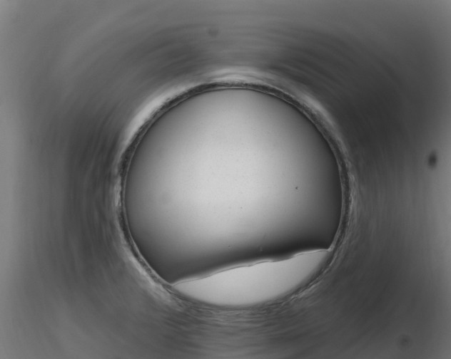 X0000116891376200912291254