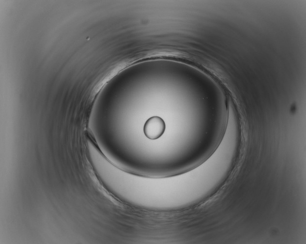 X0000116891377200912291254