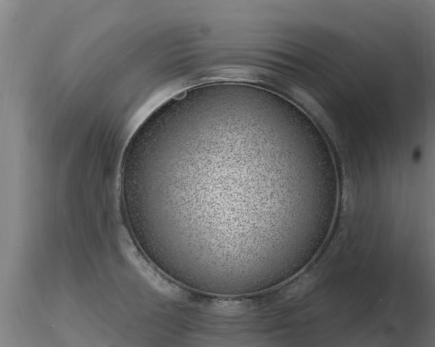 X0000116891378200912291254