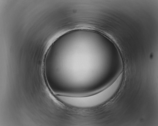 X0000116891379200912291254