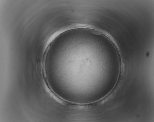 X0000116891381200912291254