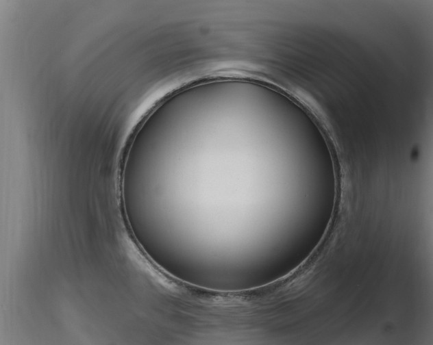 X0000116891384200912291254