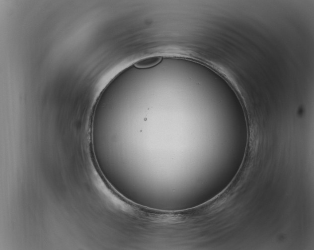 X0000116891387200912291254