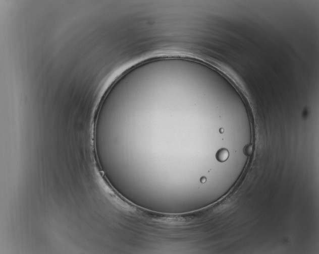 X0000116891388200912291254