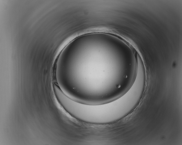 X0000116891389200912291254