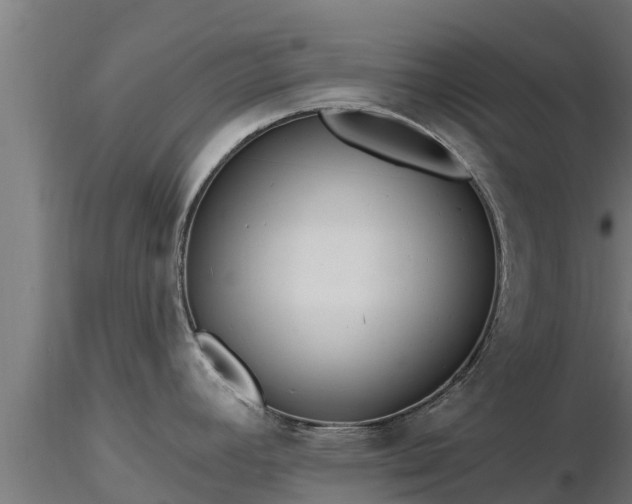 X0000116891392200912291254
