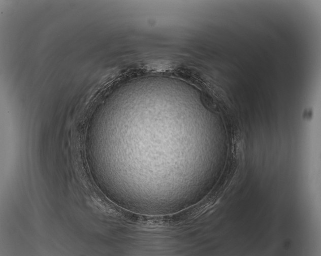 X0000116891393200912291253