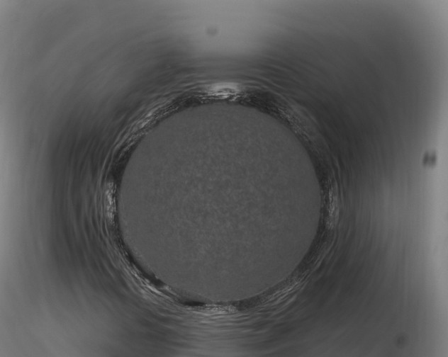 X0000116891394200912291253