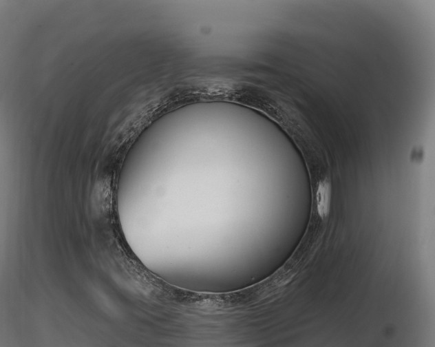 X0000116891395200912291253