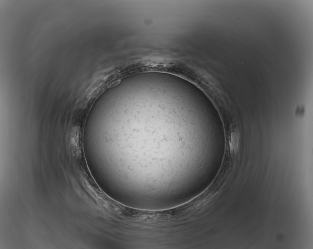 X0000116891396200912291253