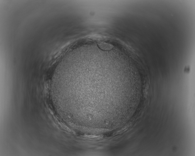 X0000116891397200912291253