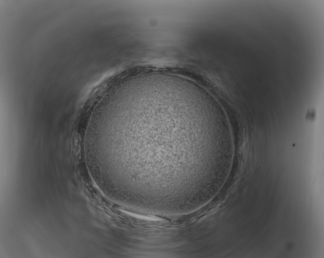 X0000116891398200912291253