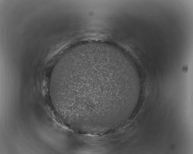 X0000116891399200912291253