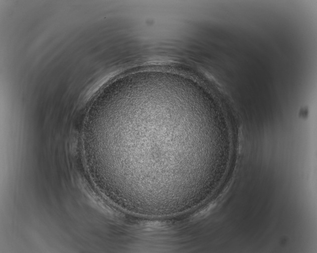 X0000116891401200912291253
