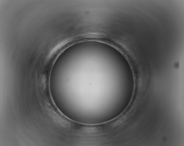 X0000116891402200912291253