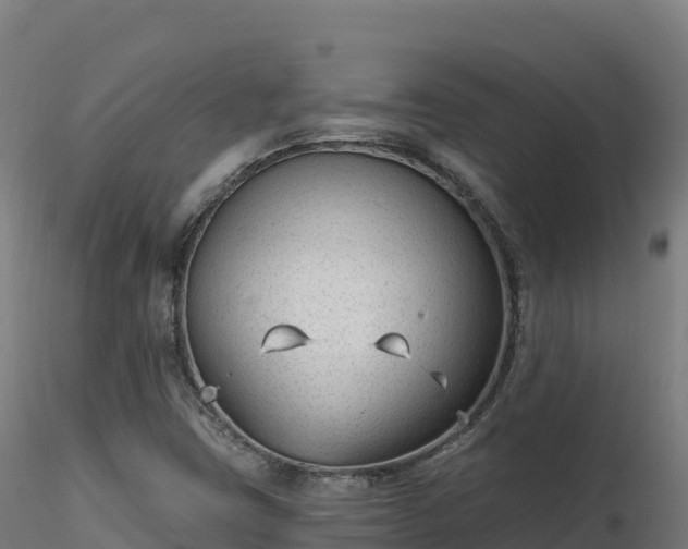 X0000116891403200912291253