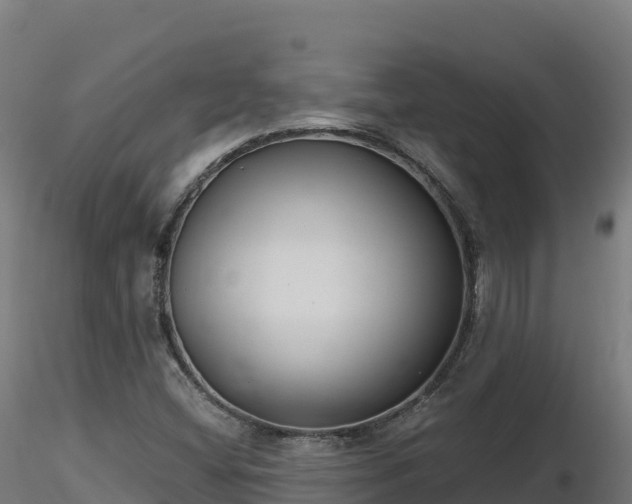 X0000116891404200912291253