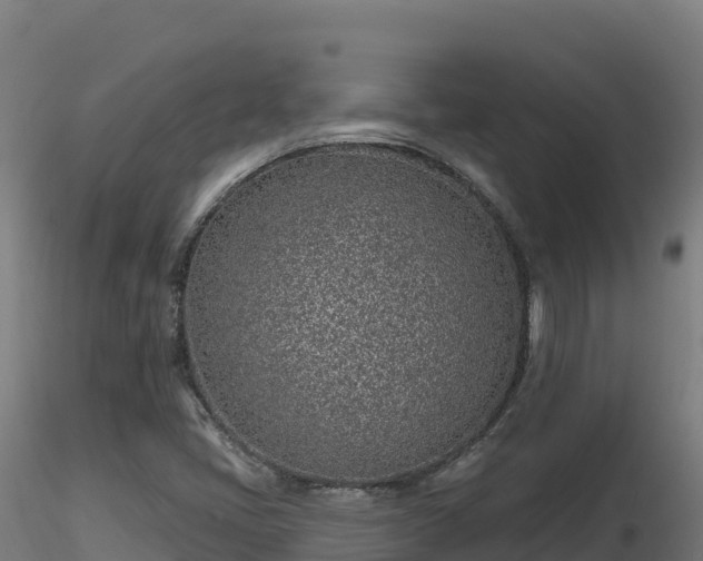 X0000116891405200912291253