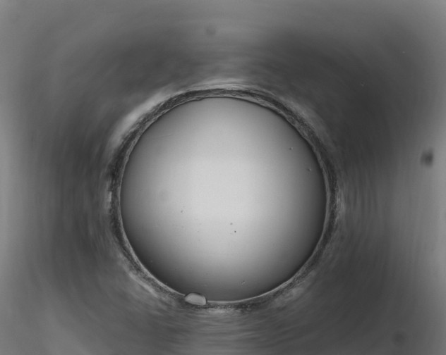 X0000116891406200912291253